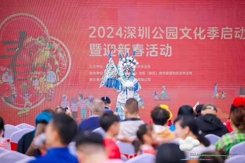 賞花逛園看燈 深圳拉開新年美好生活序幕